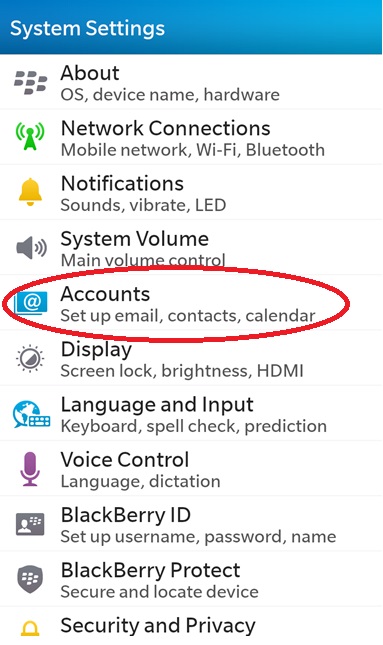 Blackberry1